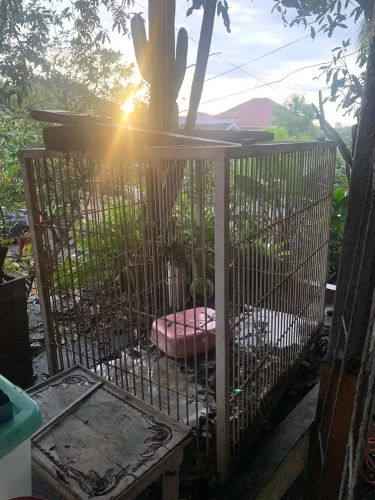 Kandang Anjing & Kucing