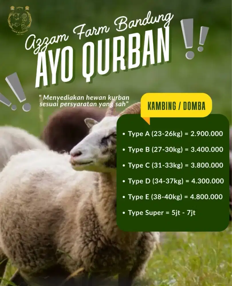 Kambing Qurban 1447 H