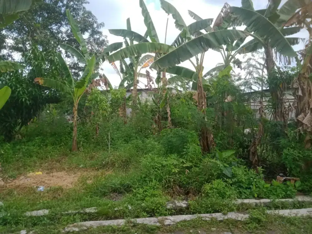 Di jual tanah sangat strategis. Kalialang dkt tol Manyaran, sampangan