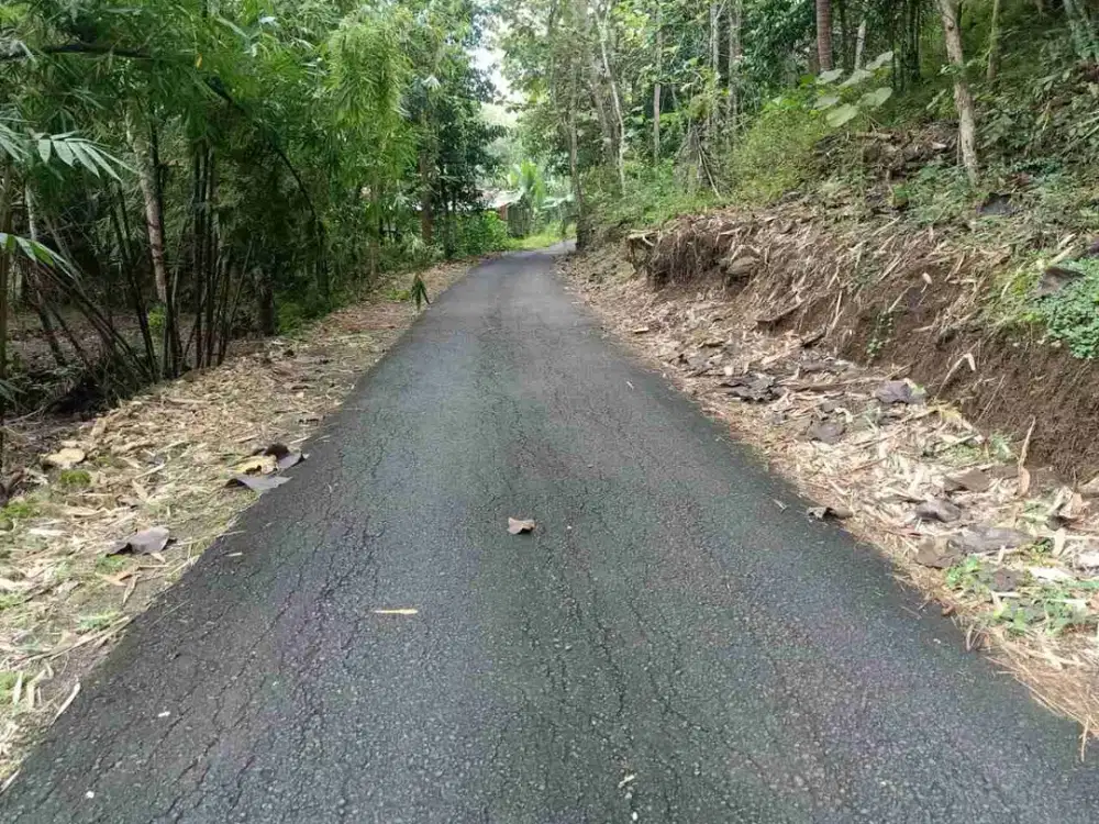 Jual cepat Tanah Murah di Punukan , Wates ,Kulon Progo.