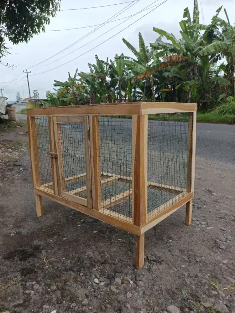 Kandang burung, kelinci, reptil dll
