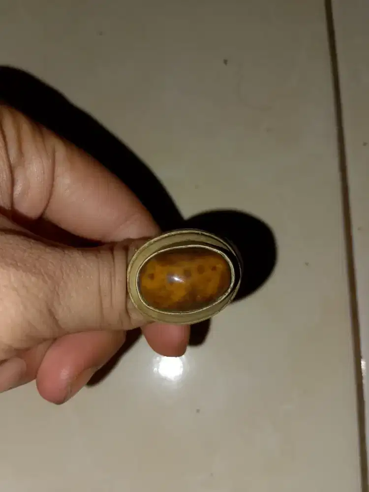 Batu akik bergambar kucing