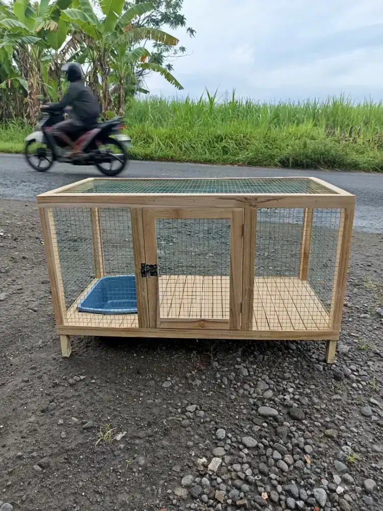 Kandang kucingg