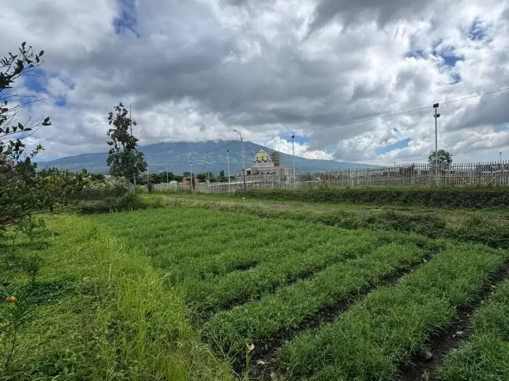 Tanah Hook Siap Bangun Kota Batu — View Permanen