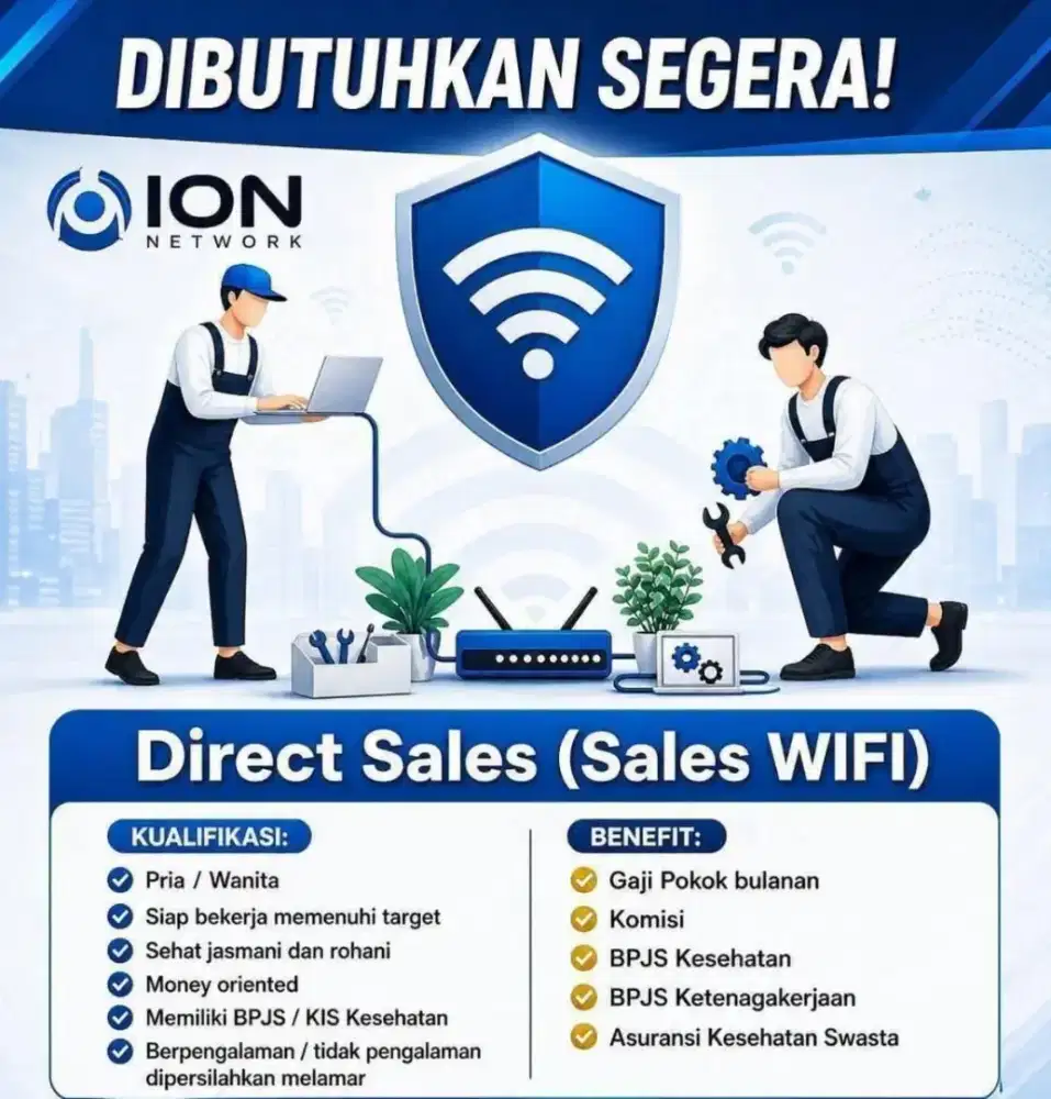 Direct Sales wifi ion network