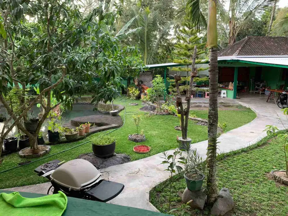 DIJUAL RUMAH PENSIUN DI SERIRIT SINGARAJA TANAH 40 ARE COCOK UNTUK PENSIUN ATAU VILLA PRIBADI AREA TENANG