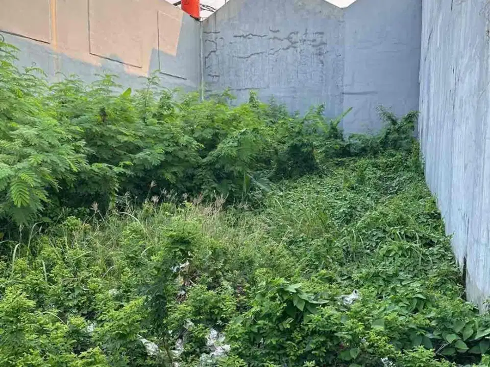 Kav Green Garden