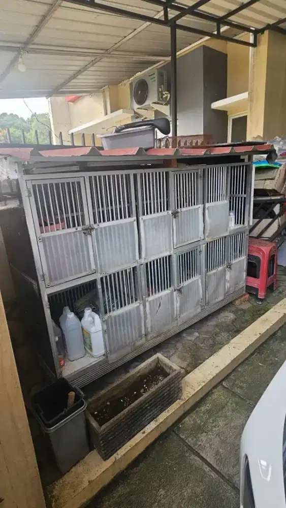 Kandang kucing bekas kondisi apa adanya