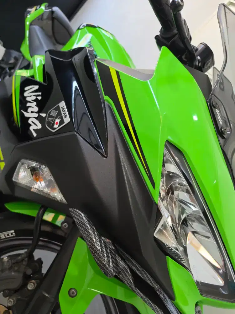 Kawasaki EX 250 V
