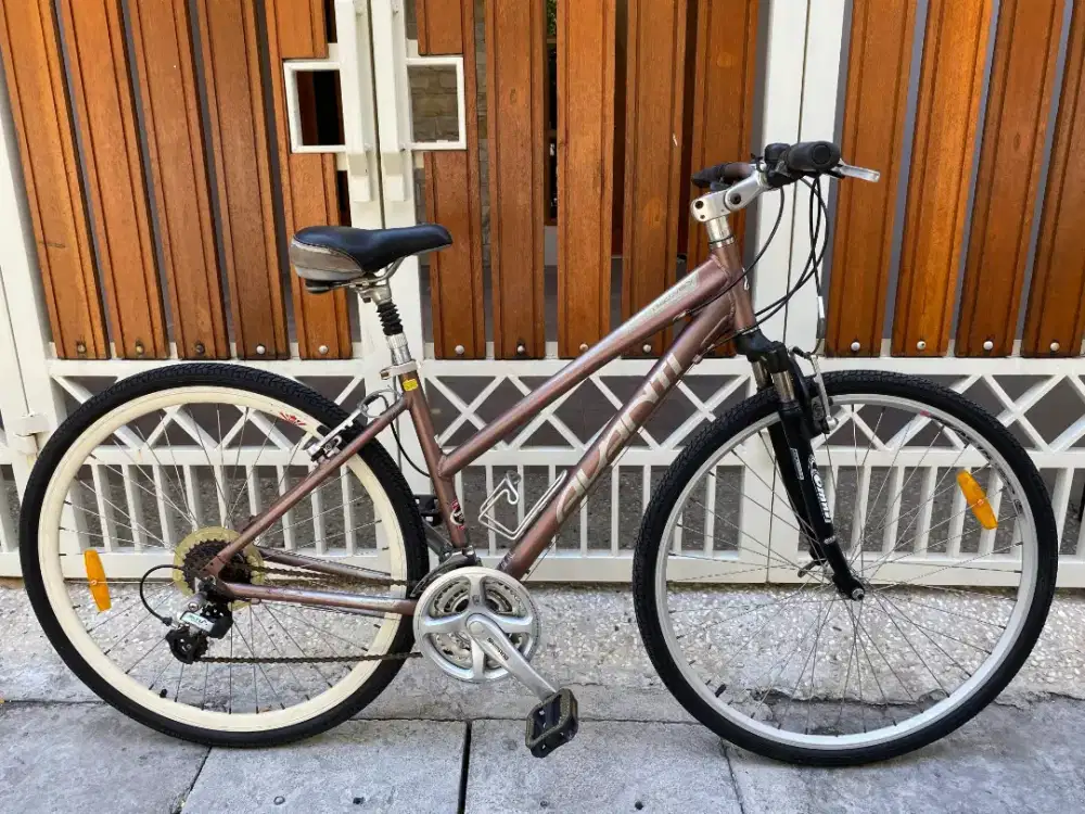 Sepeda eropa avanti