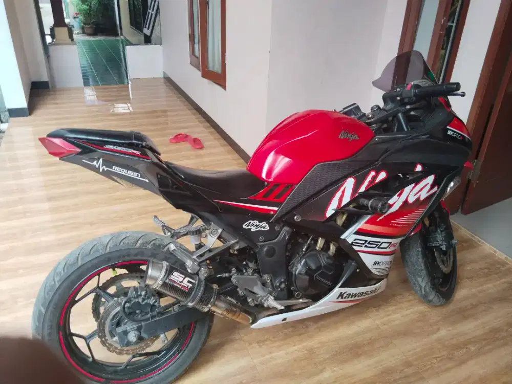 kawasaki ninja 250 SE