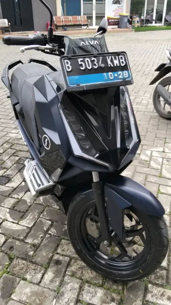 Alva Cervo Batre 2