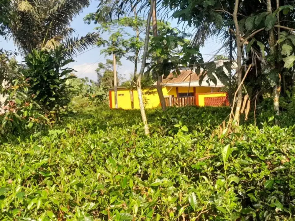 dijual lahan 1200 meter udara sejuk
