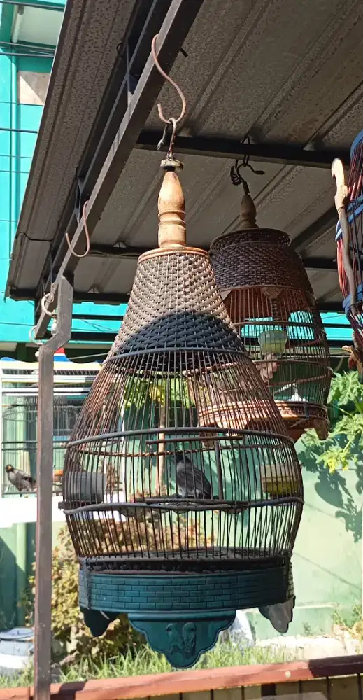 Sangkar perkutut, tebok lovebird