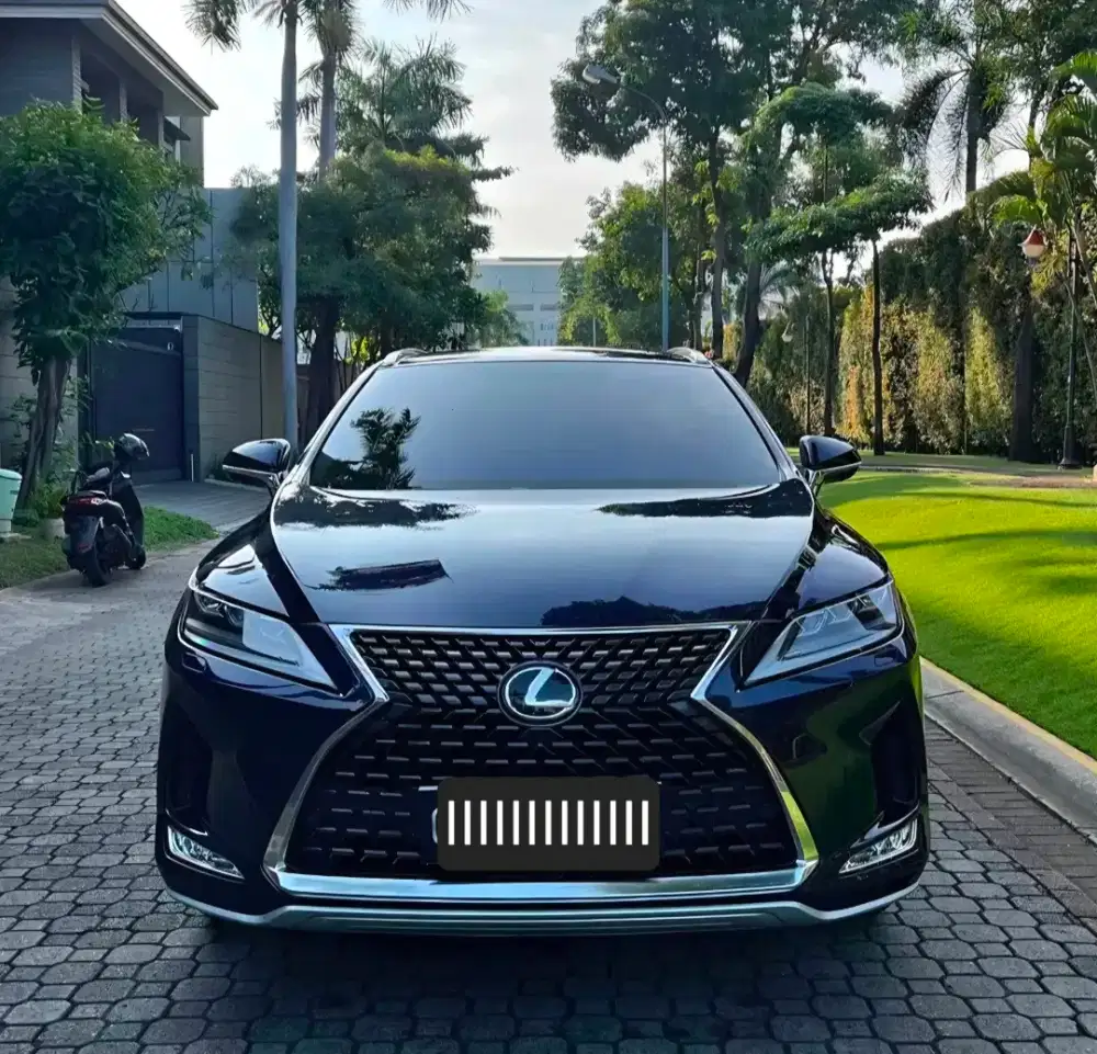 Lexus RX 300 Luxury 2021