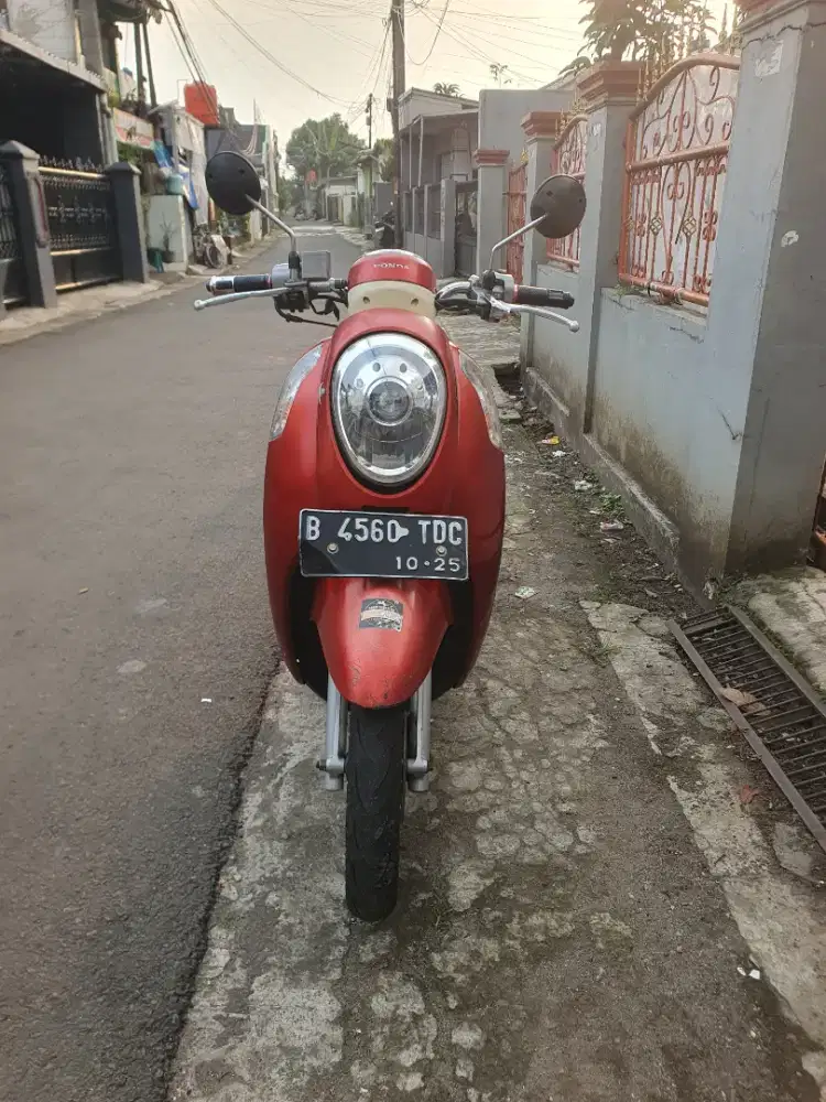 Honda scoopy 2014