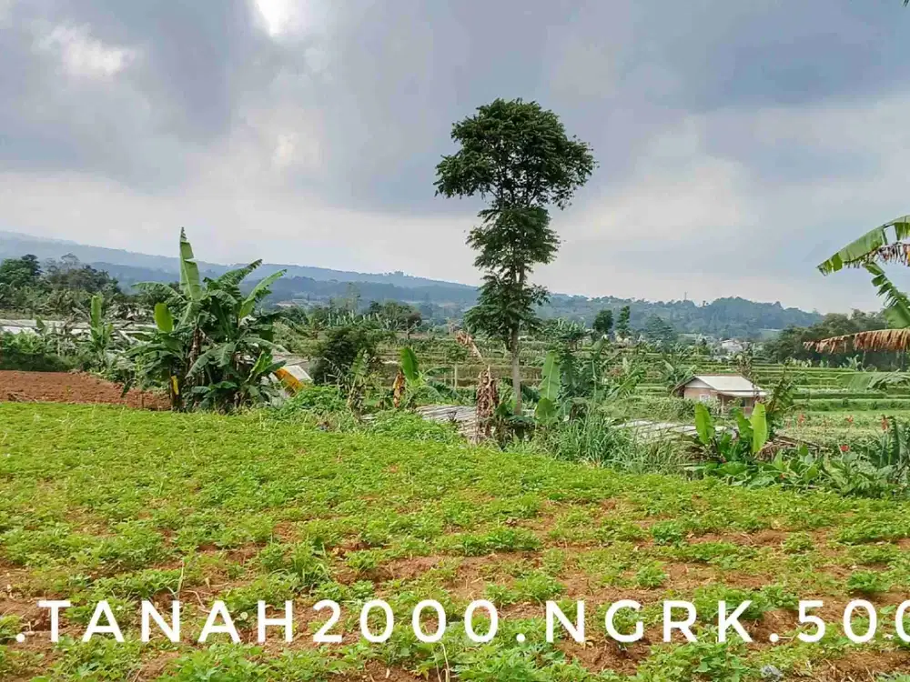 Dijual tanah kebun luas pinggir jalan dekat kota akses mudah strategis