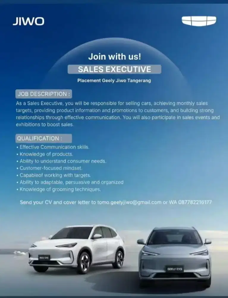 Sales Executive