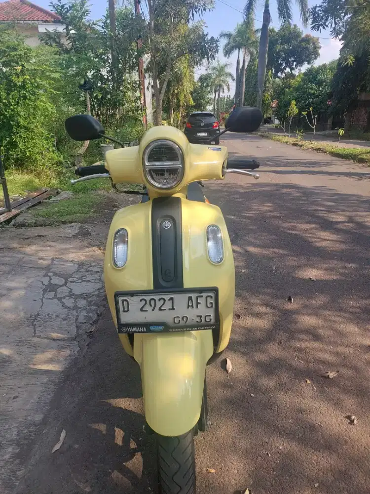 Fazzio 125 2025 orginal