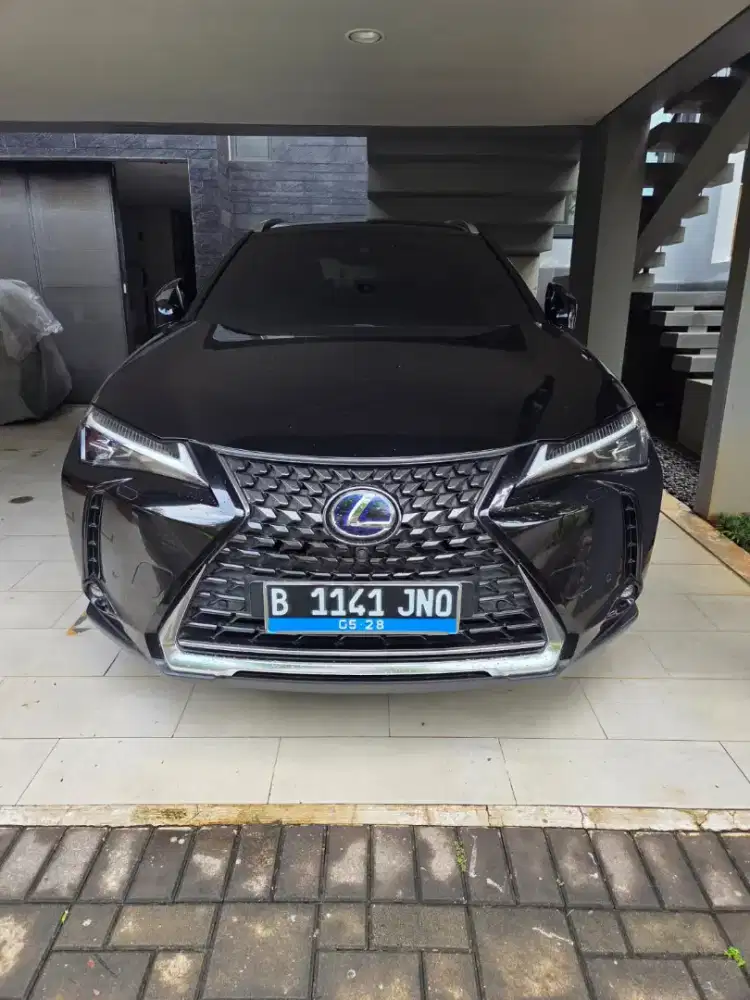 Lexus UX300E Nik. 2022 Km. Low
