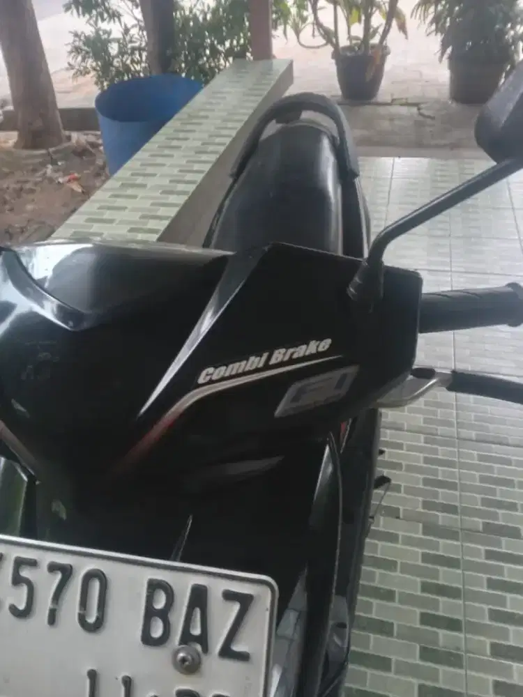 Beat f1 pajek hidup
