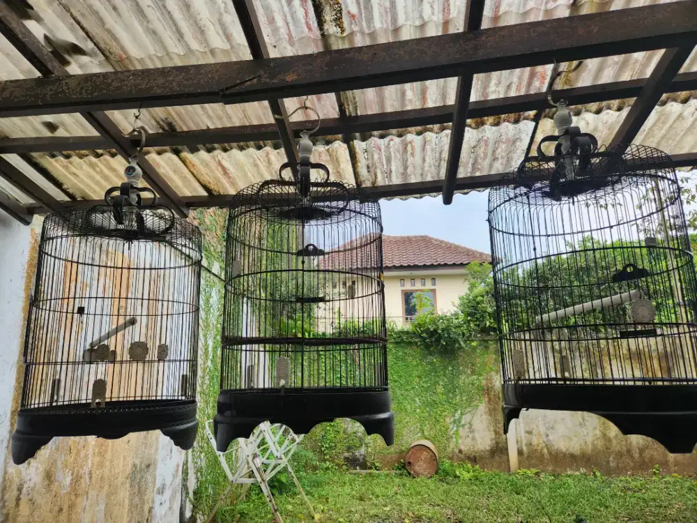 3 Kandang Burung diameter 46cm