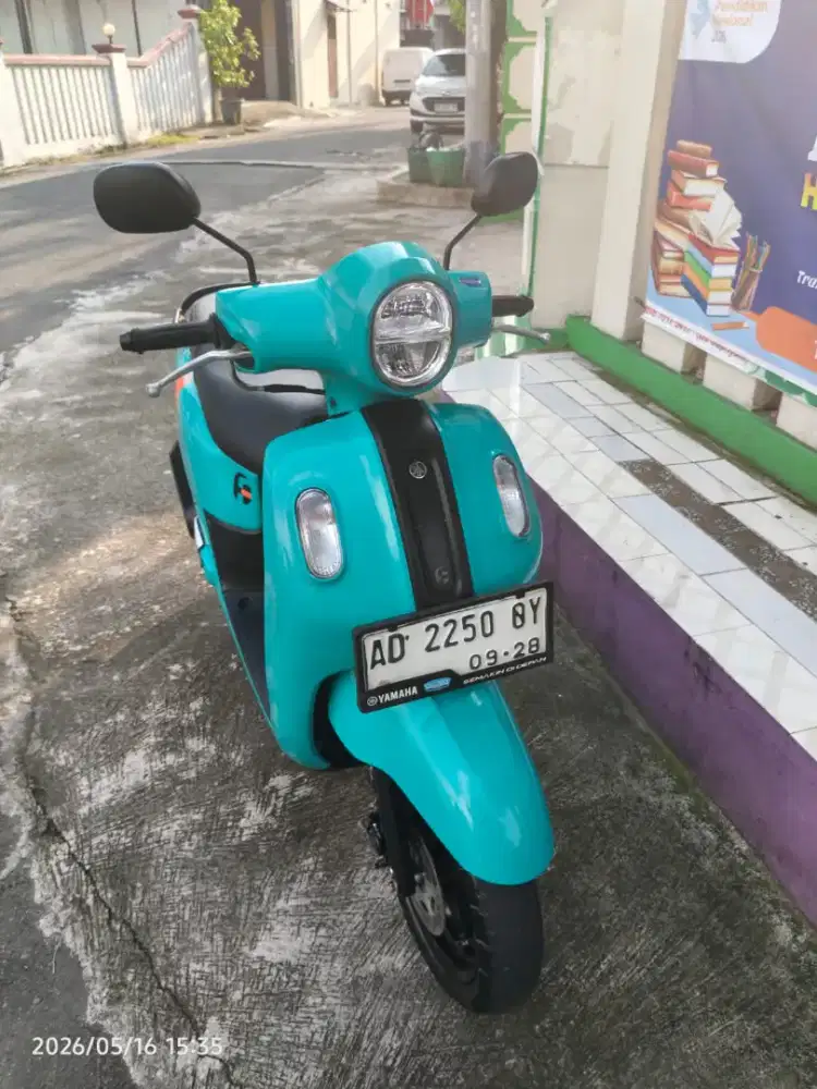Fazzio warna hijau telor bebek