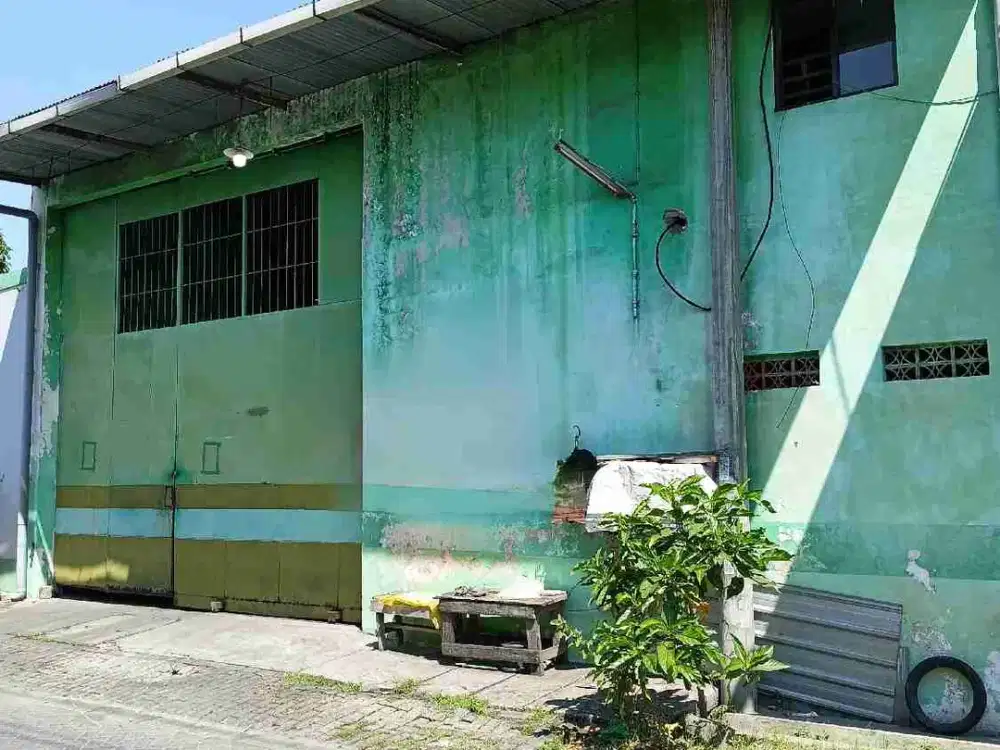 Gudang Tropodo dekat Rungkut Surabaya