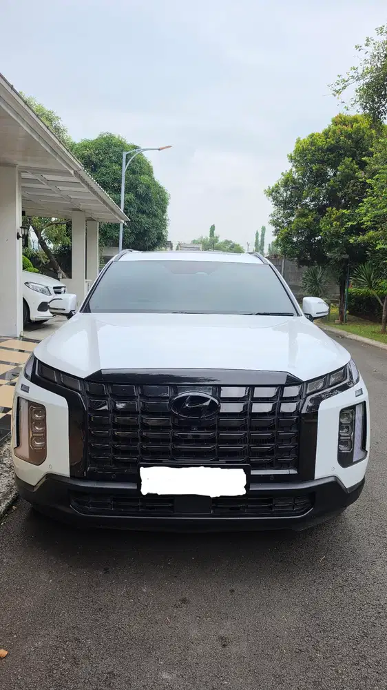 Hyundai Palisade 2024 Diesel
