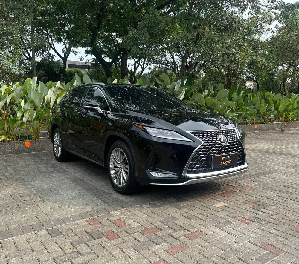 Lexus RX 300 Luxury 2020