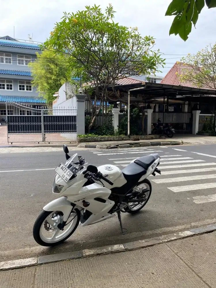 Ninja RR New 2013