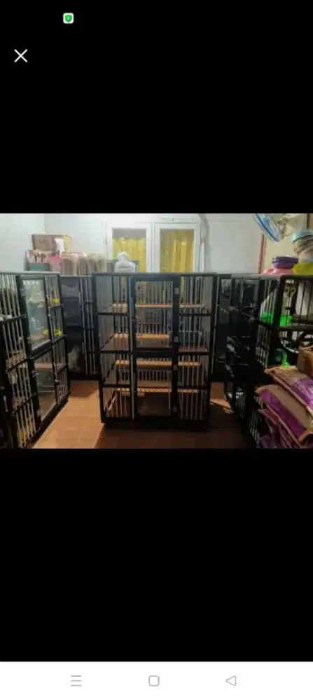 kandang kucing tingkat