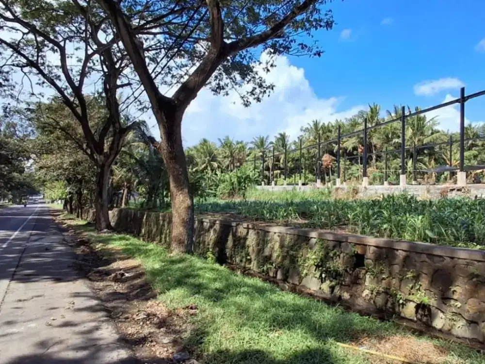 Gudang Sedang Proses Dibangun Disewakan, di by pass Ketewel, Bali