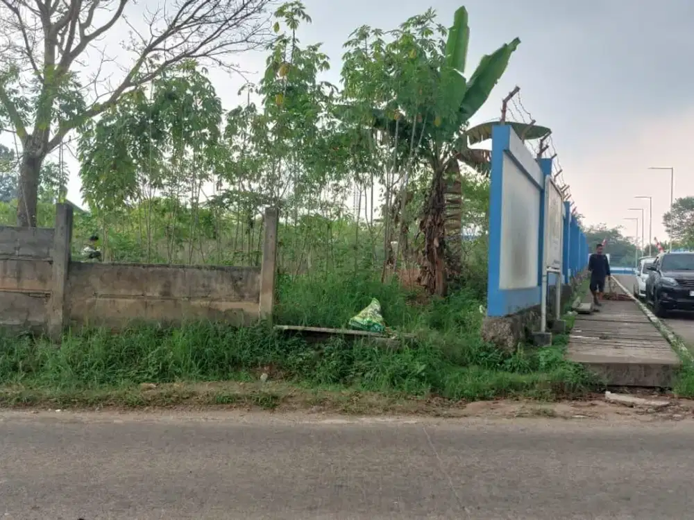 Tanah Luas Siap Pakai di Mekar Baru Lebak, Zona Aman & Strategis