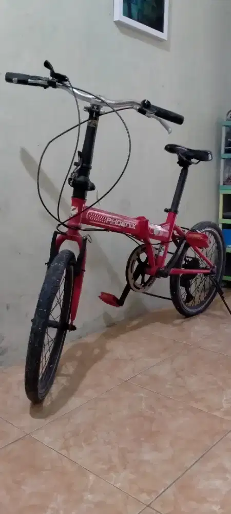Sepeda Anak Phoenix