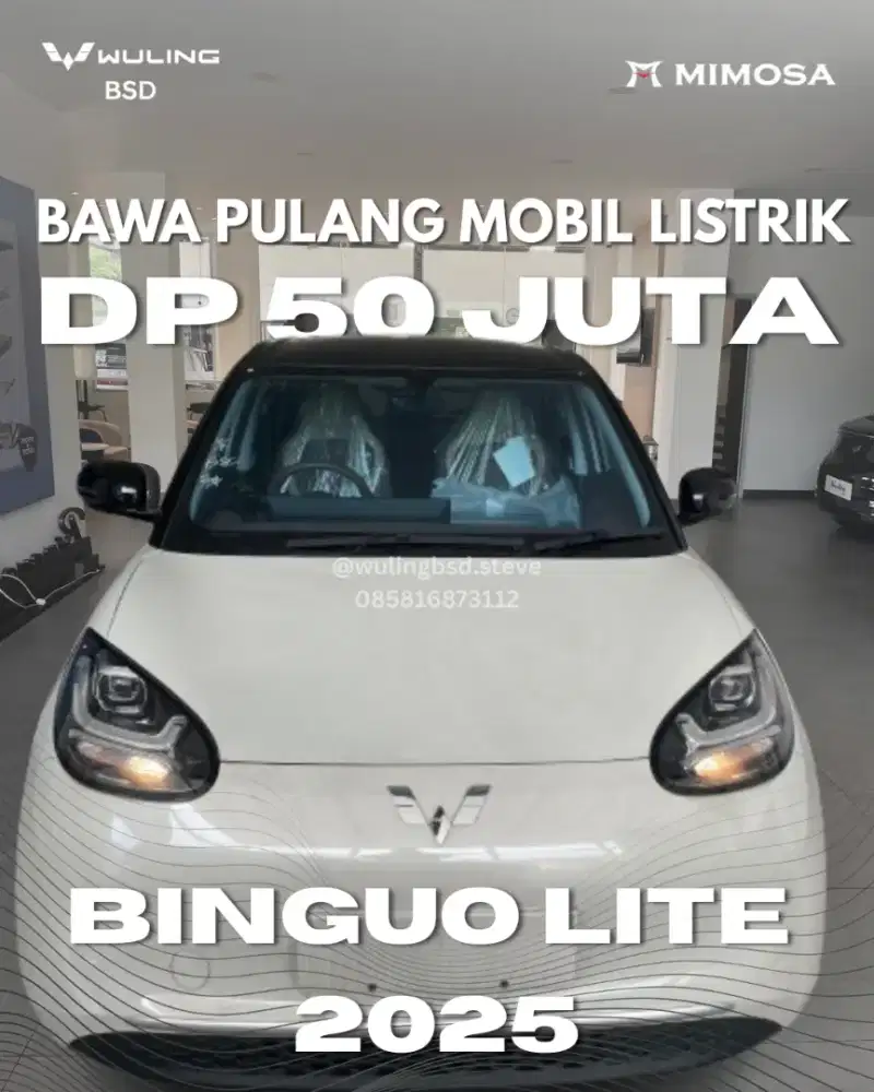 WULING BINGUO LITE