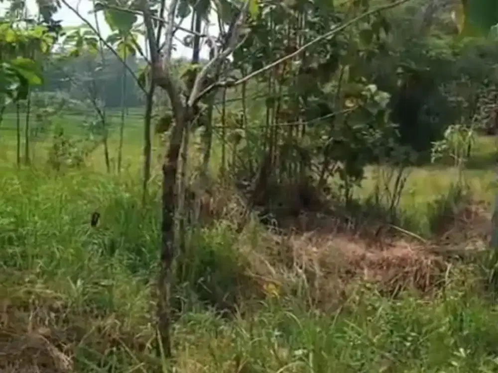 Dijual Lahan Zona Industri Lokasi Bendosari,Sukoharjo Luas 13 Ha