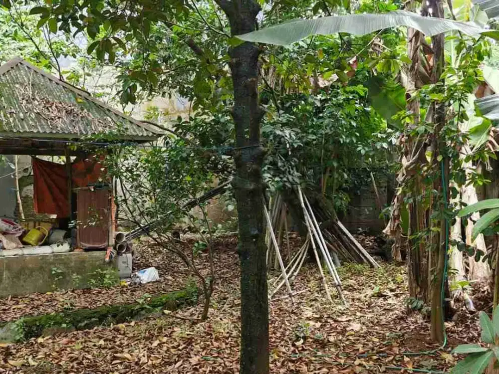 kavling strategis untuk rumah dan usaha di griyaloka bsd city tangerang Selatan harga 8,8juta/m²