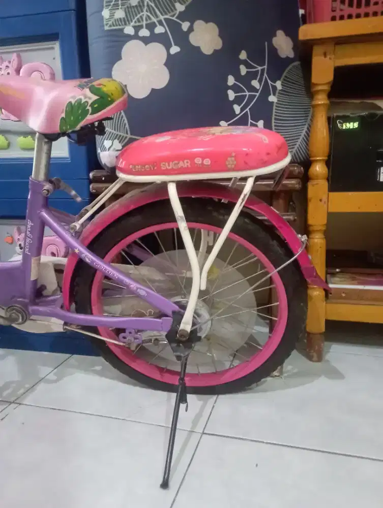 sepeda anak roda 2