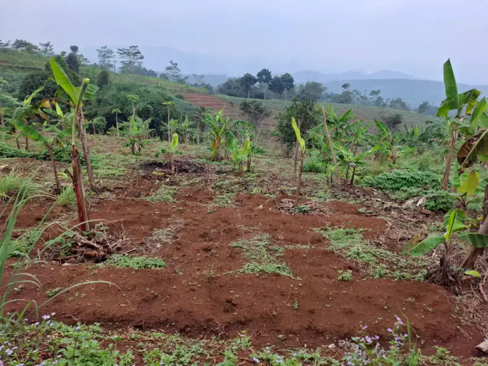 Dijual Tanah (Tanpa Perantara),Butuh Uang Cepat