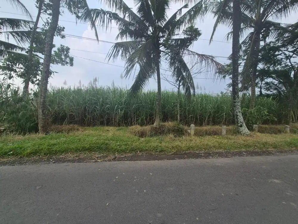 Tanah Produktif