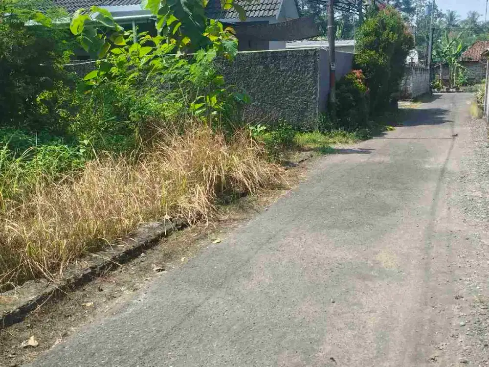 Tanah sendang Arum minggir