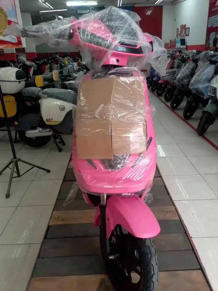 Sepeda Listrik Exotic X665