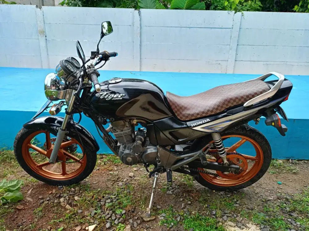Honda Tiger 2004