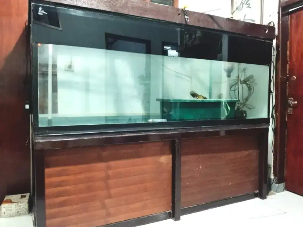 Akuarium Bekas Ikan Arwana Ukuran 180cm + Meja Besi Kokoh