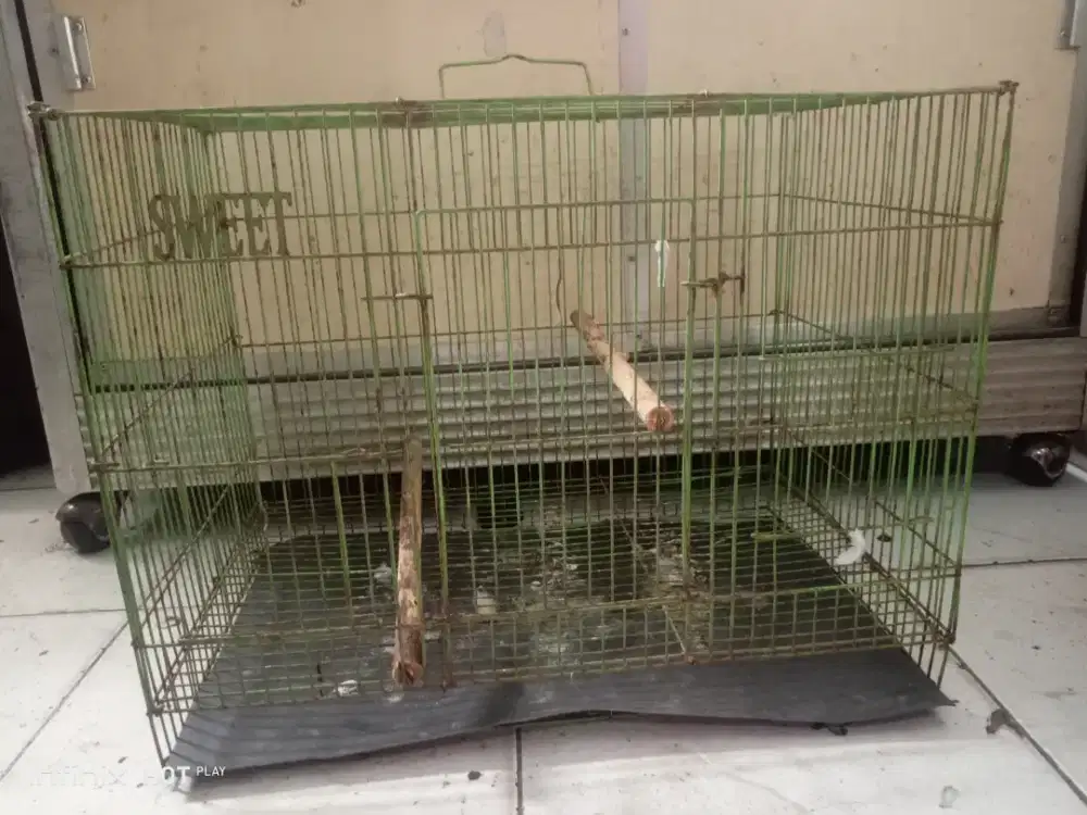 KANDANG KOTAK. 50X30X30