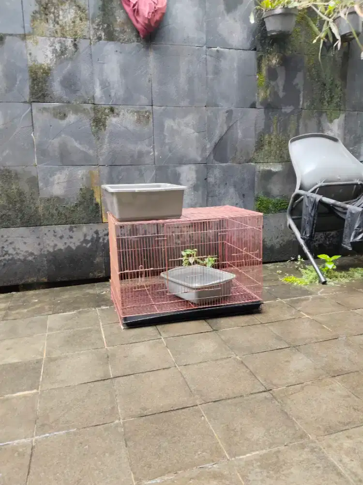 Kandang Kucing, Kandang Burung, Kandang Reptil