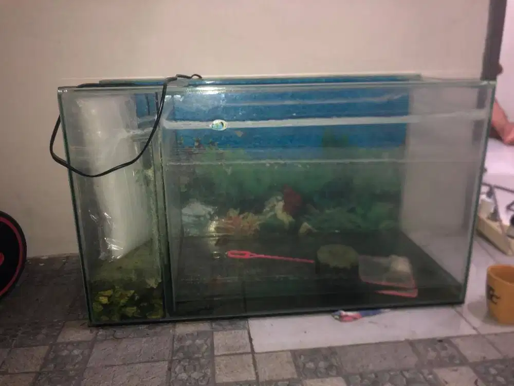 Aquarium Ukuran 70x30x40
