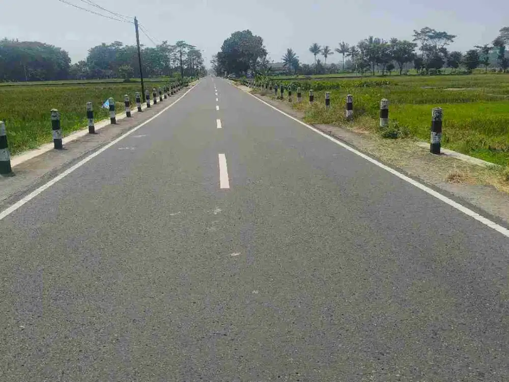 sawah sendang agung minggir