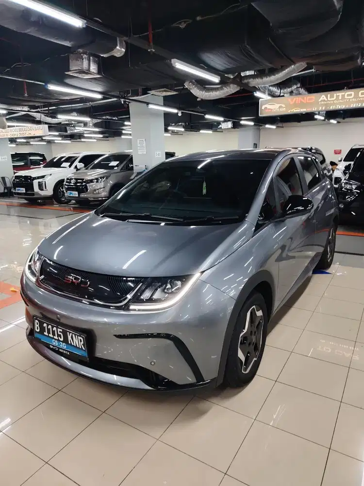 BYD Dolphin Dynamic 2025